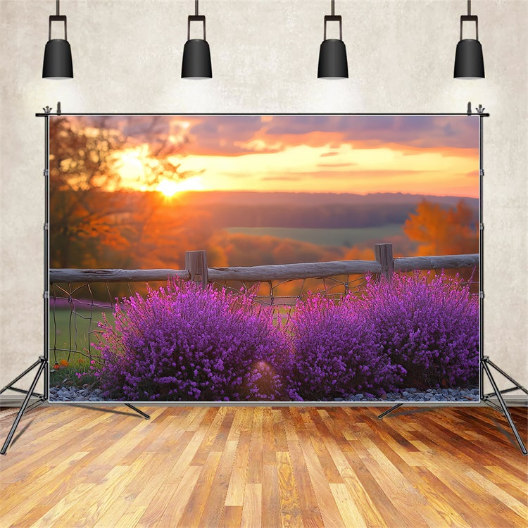 Sonnenuntergangs-Hintergrund Violet Bloom Horizon Herbst-Hintergrund CSH57-200