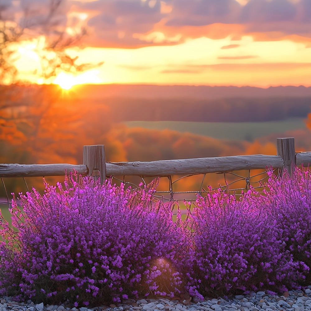 Sonnenuntergangs-Hintergrund Violet Bloom Horizon Herbst-Hintergrund CSH57-200