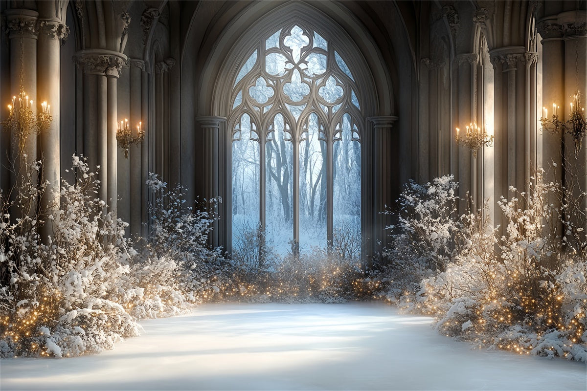 Winter Backdrop Fotografie Schnee beleuchtet Gothic Hall Backdrop CSH57-206