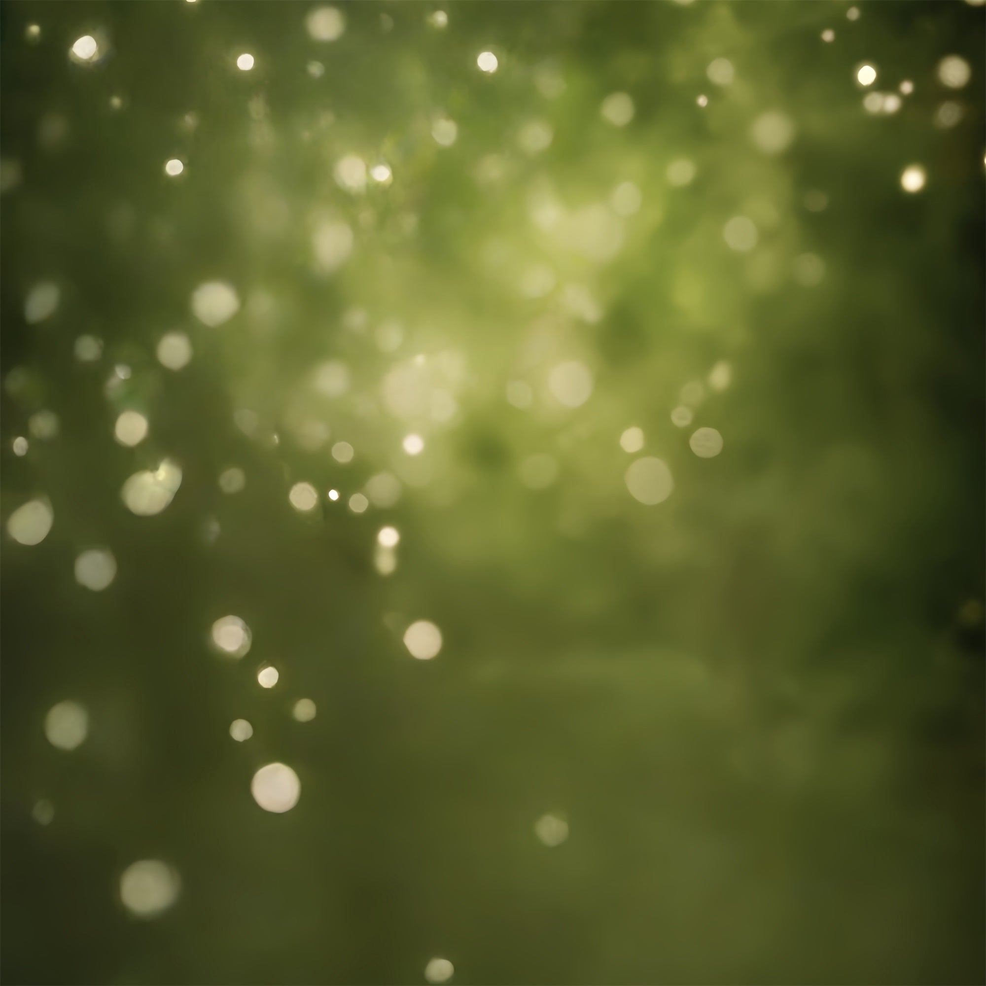 Olivgrüner Hintergrund Walddunst Bokeh Hintergrund CSH57-30