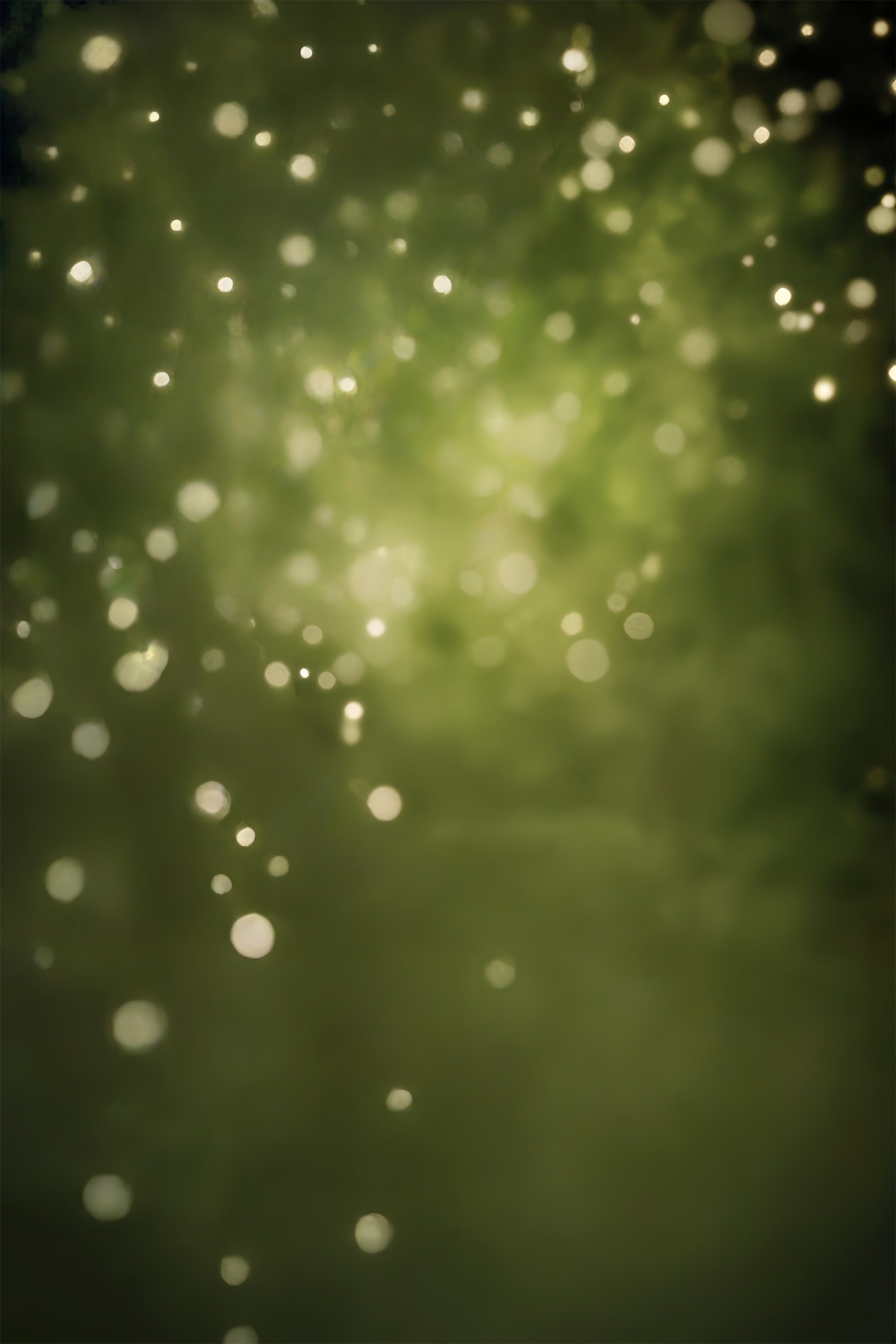 Olivgrüner Hintergrund Walddunst Bokeh Hintergrund CSH57-30