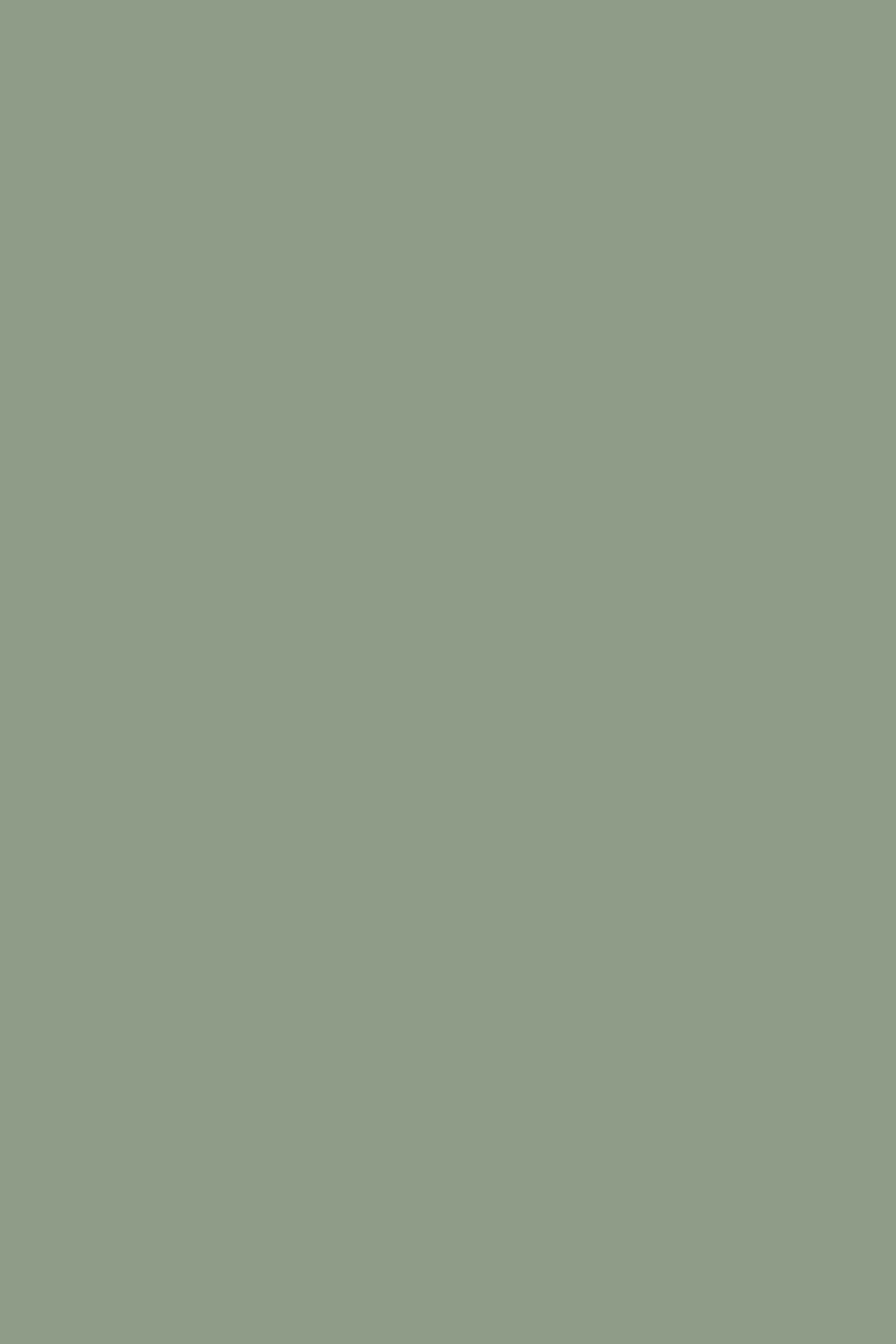 Grüner Fotohintergrund Dusty Olive Haze Backdrop CSH57-326