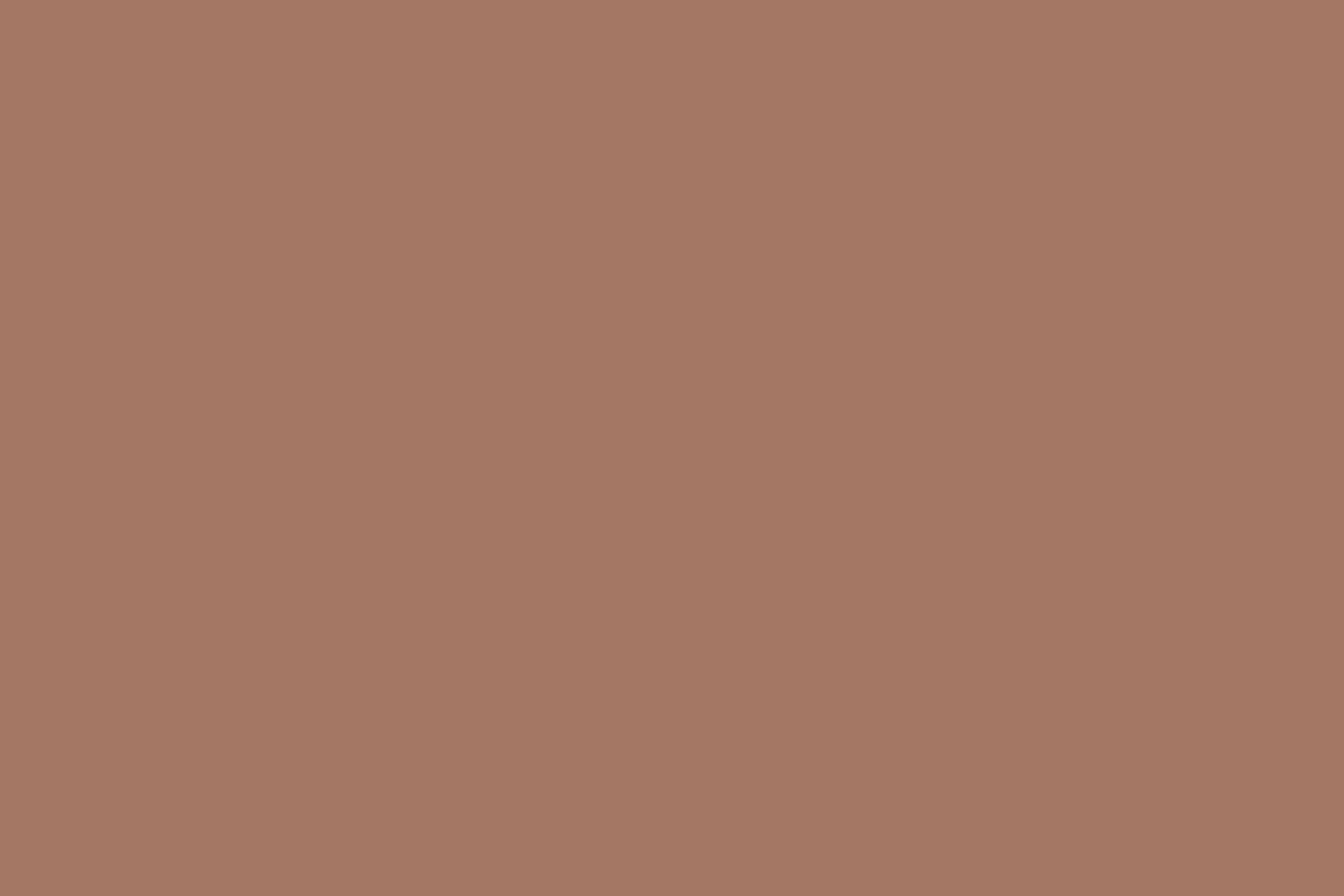 Farbiger Hintergrund Rustic Coral Mist Foto Hintergrund CSH57-334