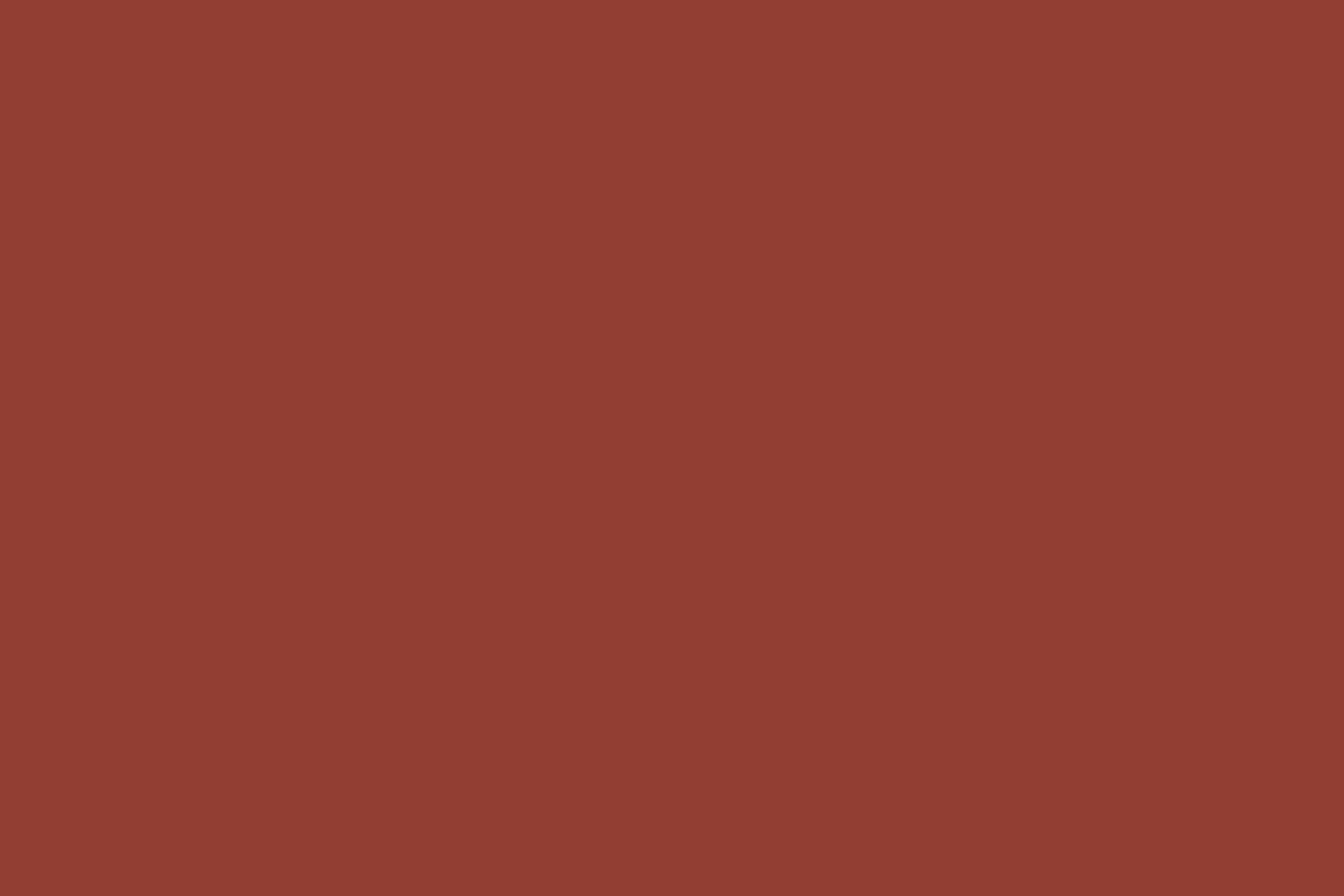 Roter Fotohintergrund Ember Red Tint Backdrop CSH57-335