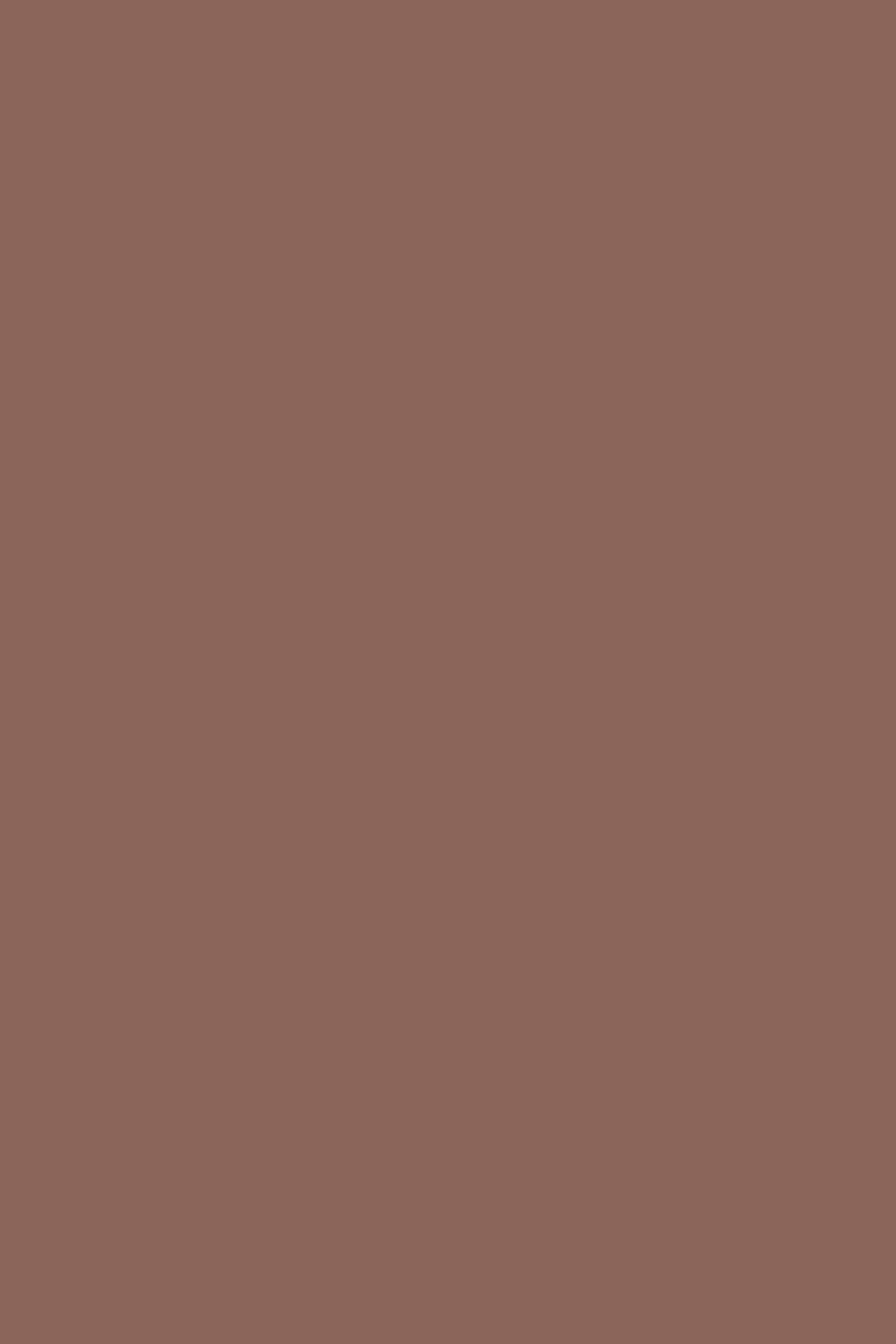 Volltonfarbe Backdrop Dark Mocha Rose Foto Hintergrund CSH57-339