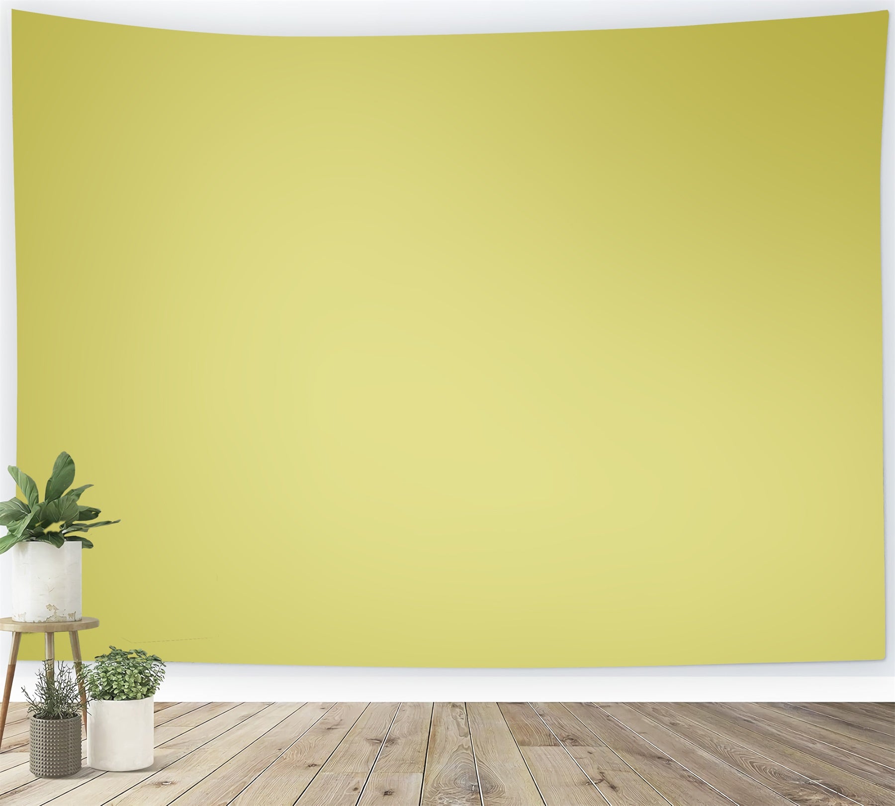 Grüner Fotohintergrund Lemon Haze Studiohintergrund CSH57-37