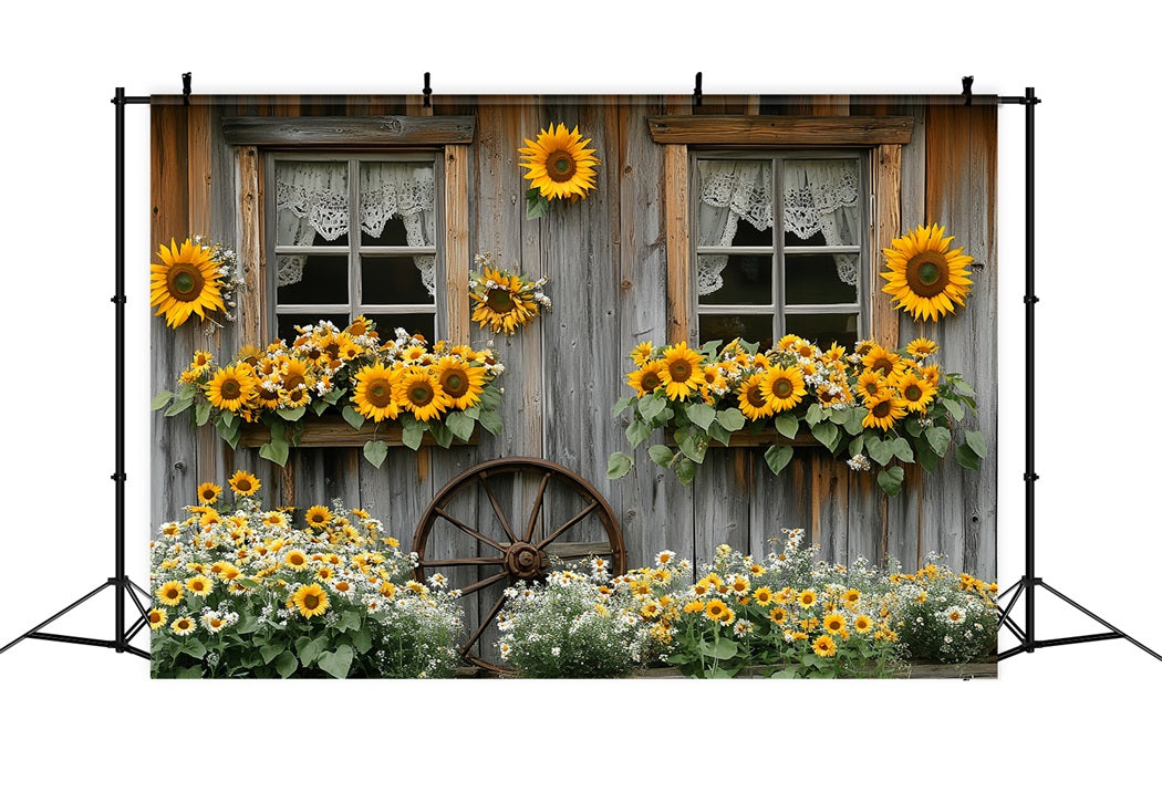Sonnenblumen Foto Hintergrund Rustikales Cottage-Fenster Blüte Thanksgiving Foto Hintergrund CSH58-128