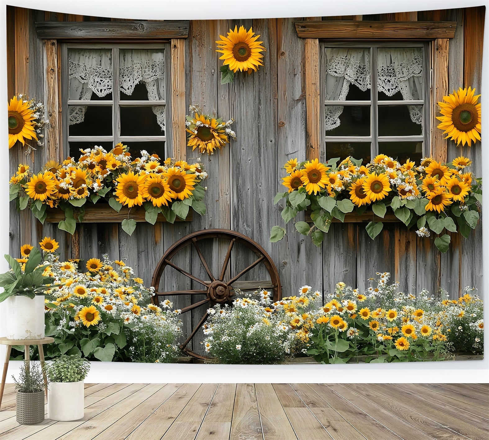 Sonnenblumen Foto Hintergrund Rustikales Cottage-Fenster Blüte Thanksgiving Foto Hintergrund CSH58-128