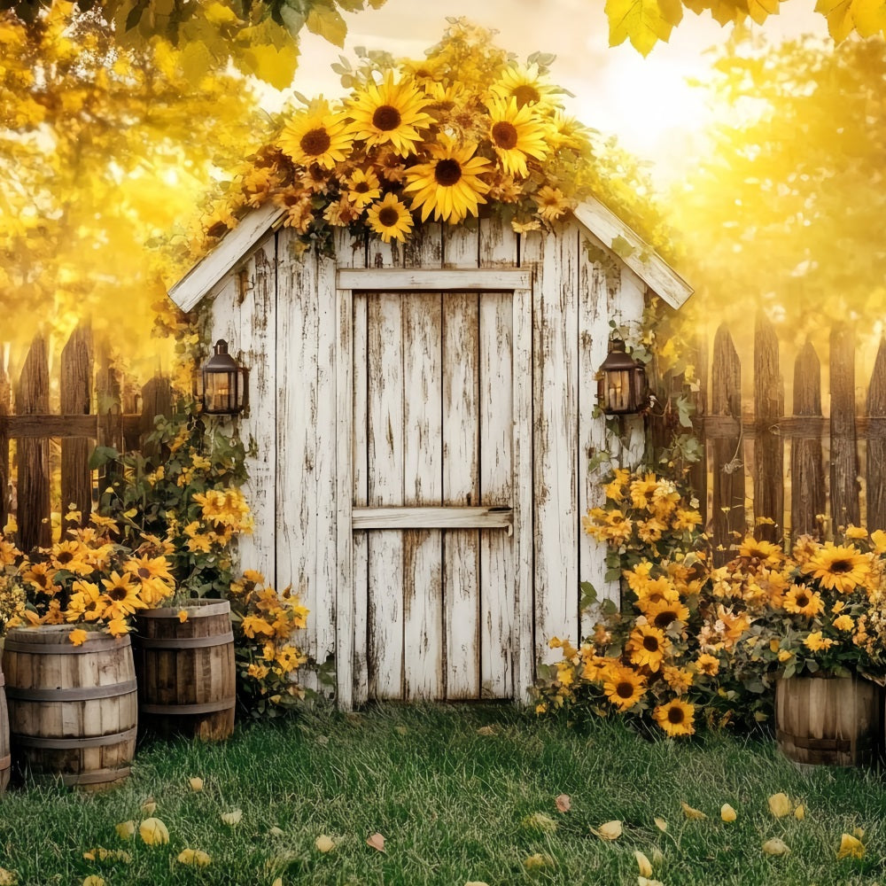 Rustikaler Foto Hintergrund Rustikaler Schuppen Sonnenblumenfässer Foto Hintergrund für Thanksgiving CSH58-141