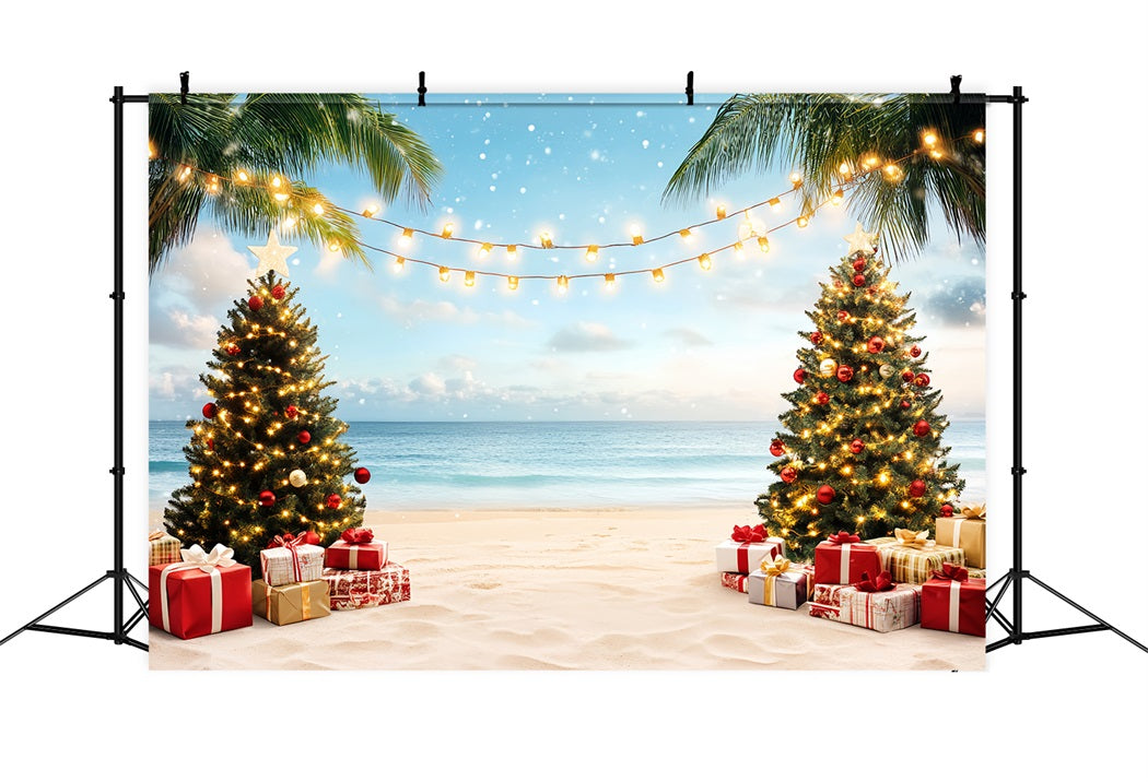 Sommer-Ozean-Hintergrund Weihnachtspalme Paradies Sommer Fotohintergrund CSH58-214