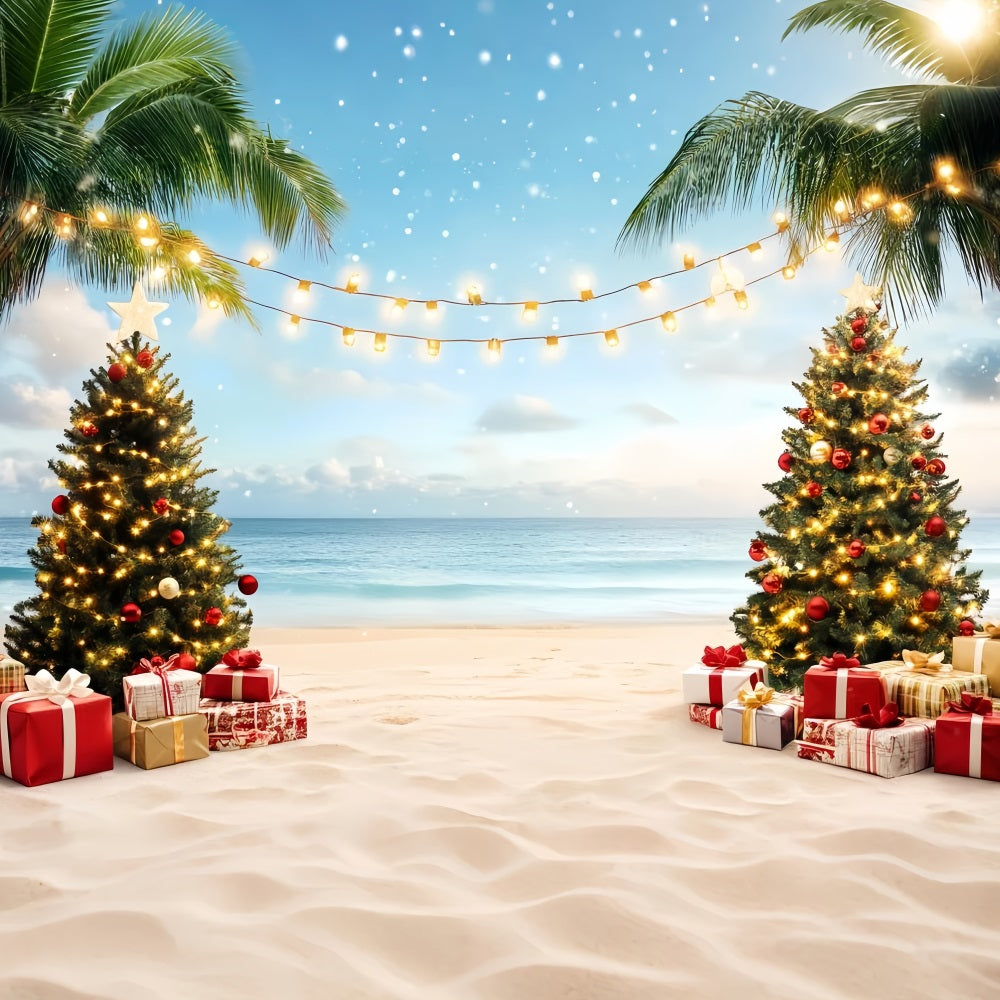 Sommer-Ozean-Hintergrund Weihnachtspalme Paradies Sommer Fotohintergrund CSH58-214