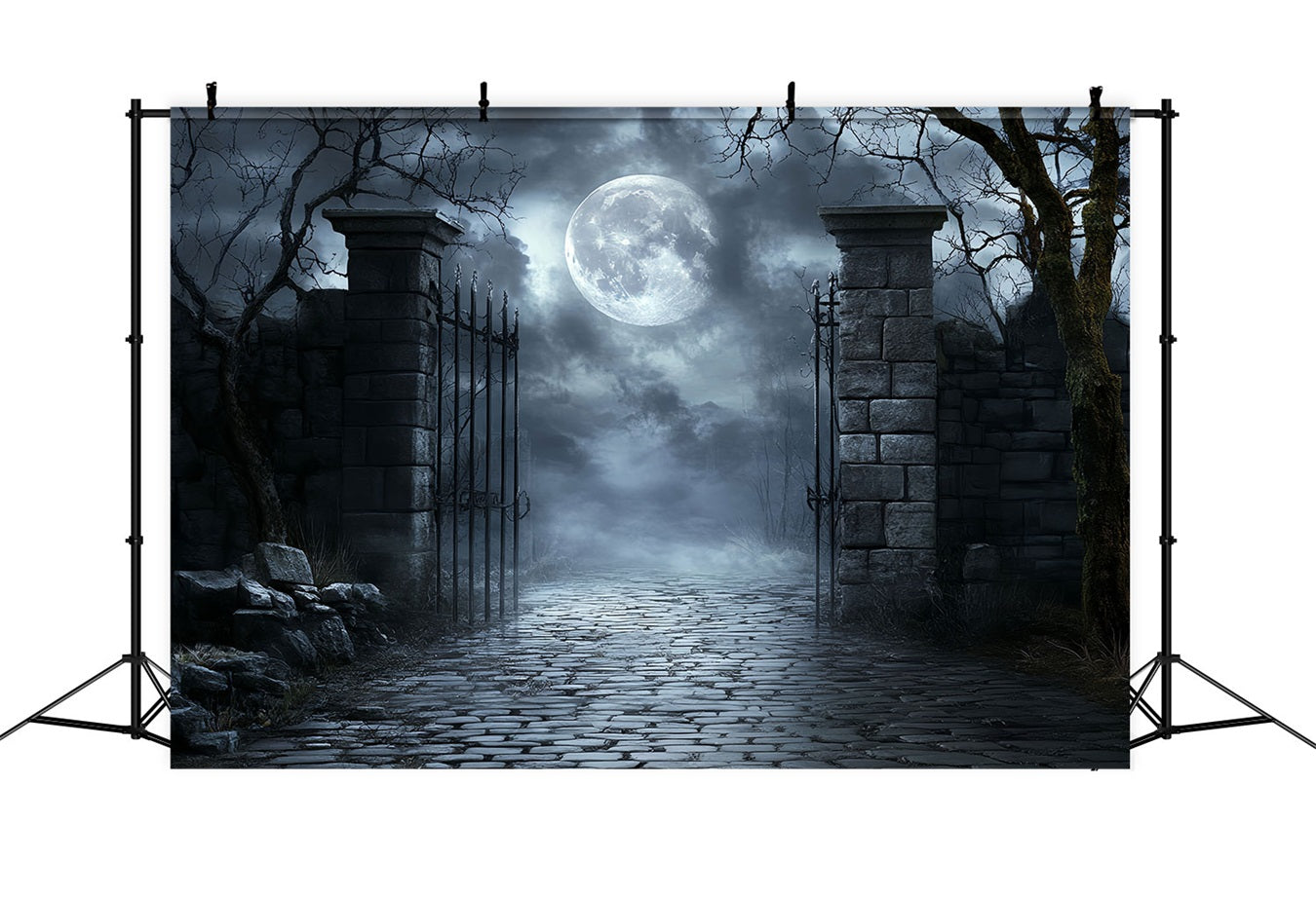 MondFotohintergrund Mondschein Friedhof Eisernes Tor Halloween Fotostand Fotohintergrund CSH58-71