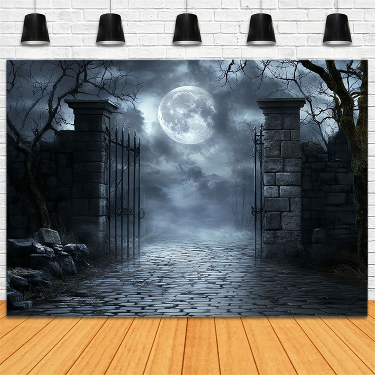 MondFotohintergrund Mondschein Friedhof Eisernes Tor Halloween Fotostand Fotohintergrund CSH58-71