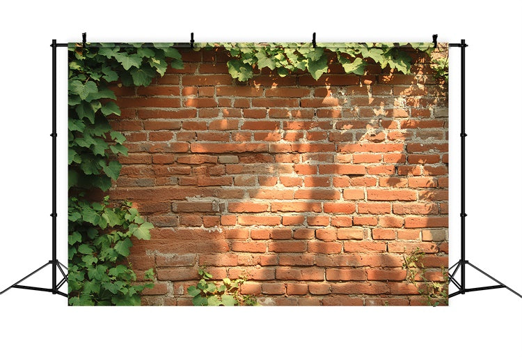 Roter Backstein Backdrop Rustikale Efeu Wand Textur Backdrop CSH6-141