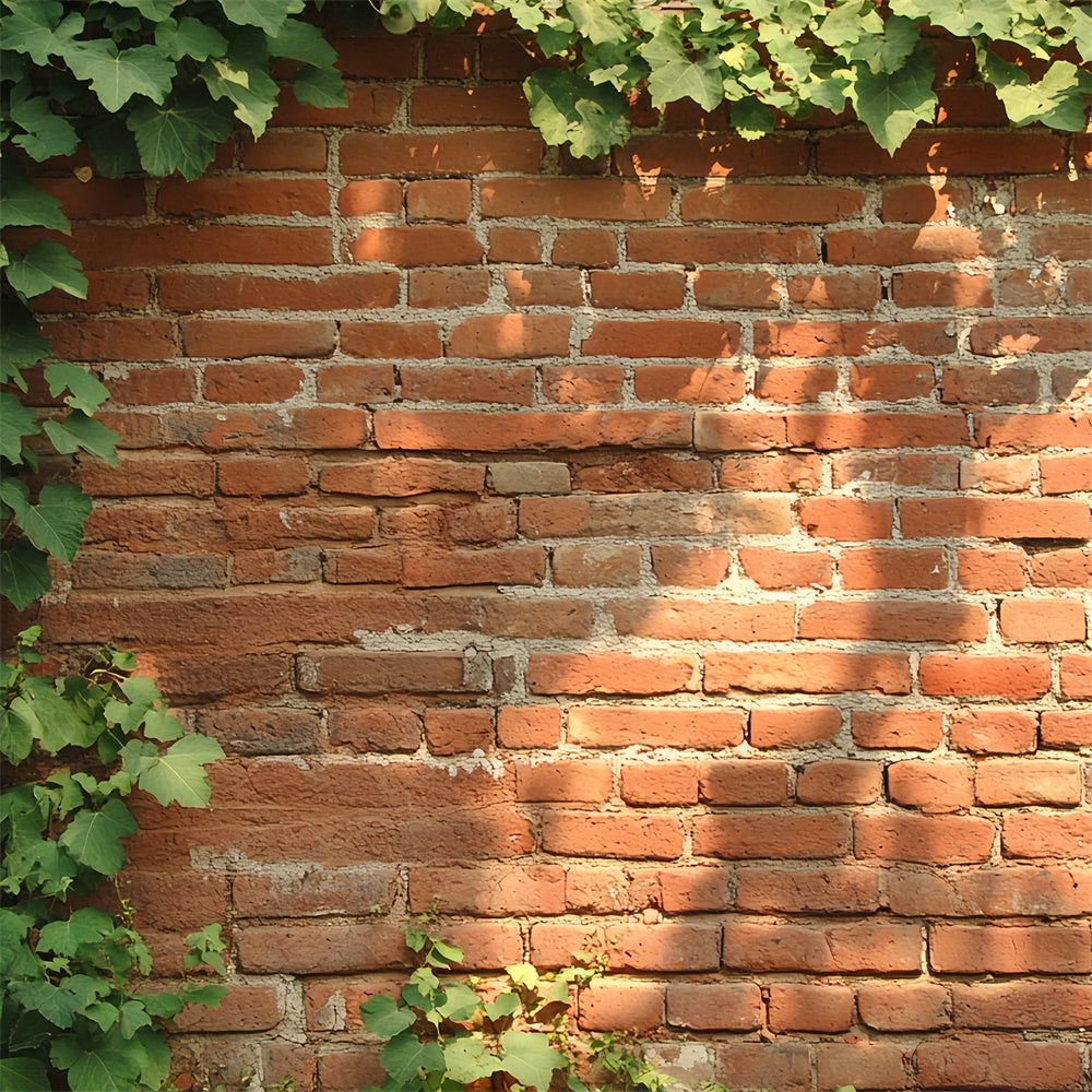 Roter Backstein Backdrop Rustikale Efeu Wand Textur Backdrop CSH6-141