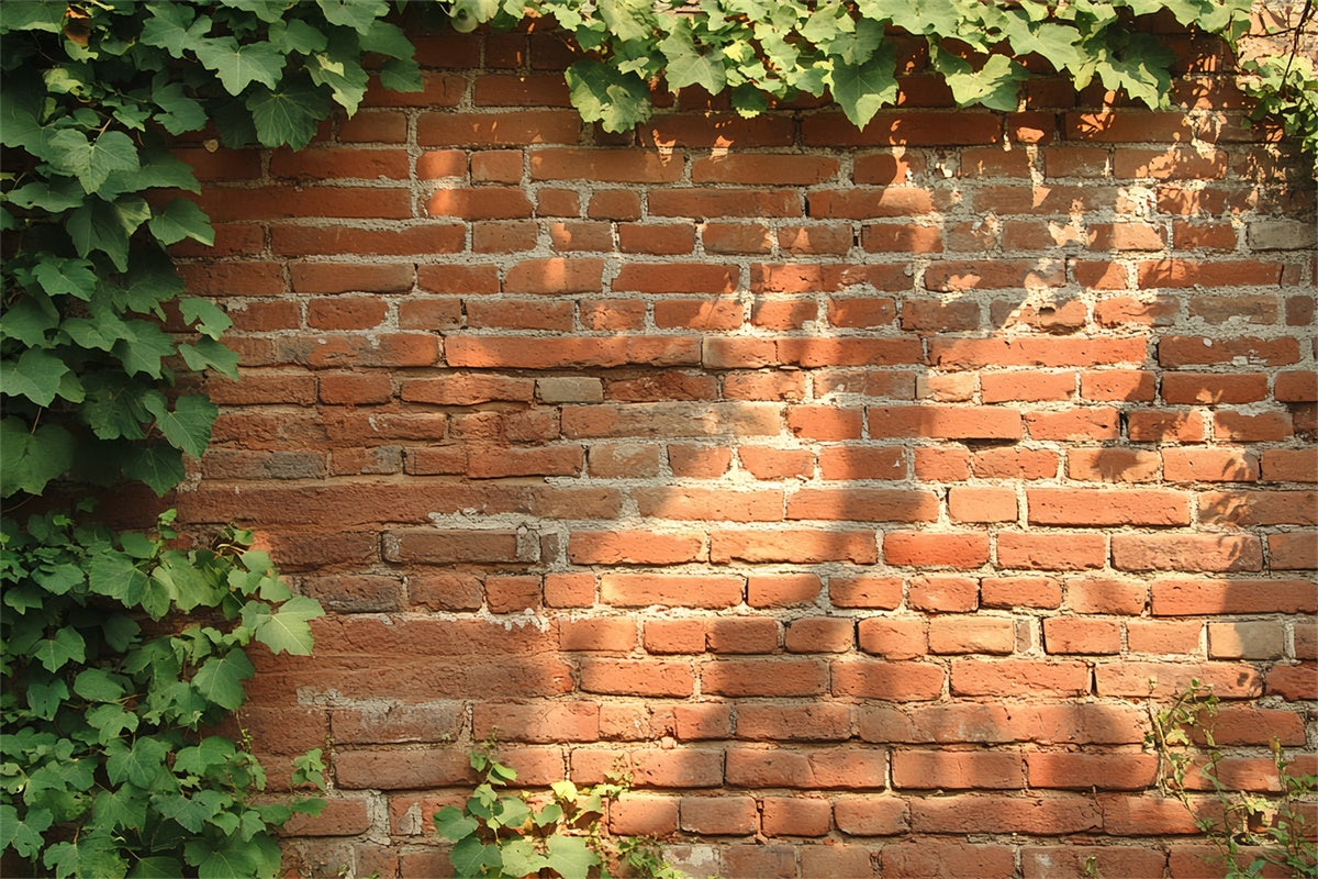 Roter Backstein Backdrop Rustikale Efeu Wand Textur Backdrop CSH6-141