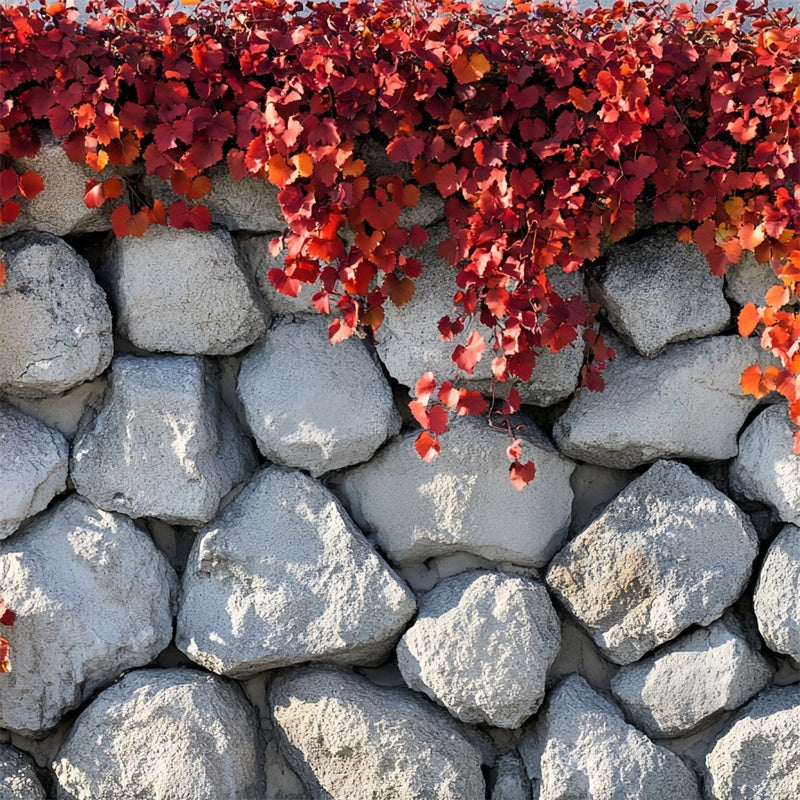Herbst-Fotohintergrund Einfacher Charme Herbst Wandhintergrund CSH6-218