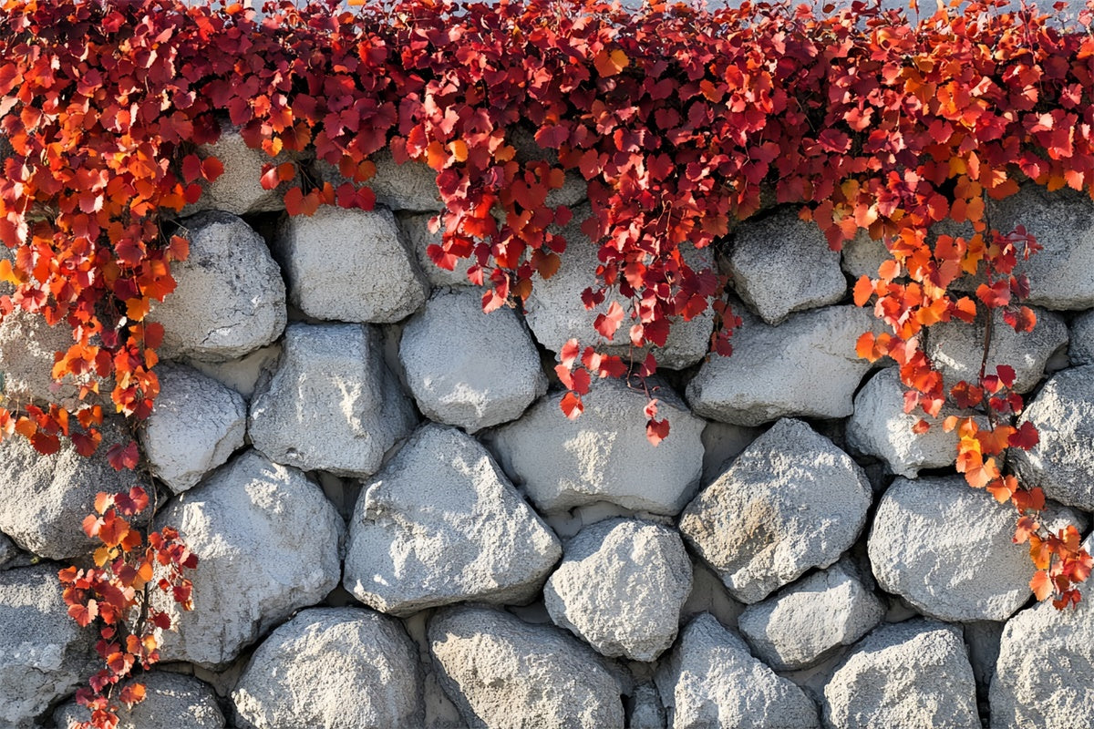 Herbst-Fotohintergrund Einfacher Charme Herbst Wandhintergrund CSH6-218