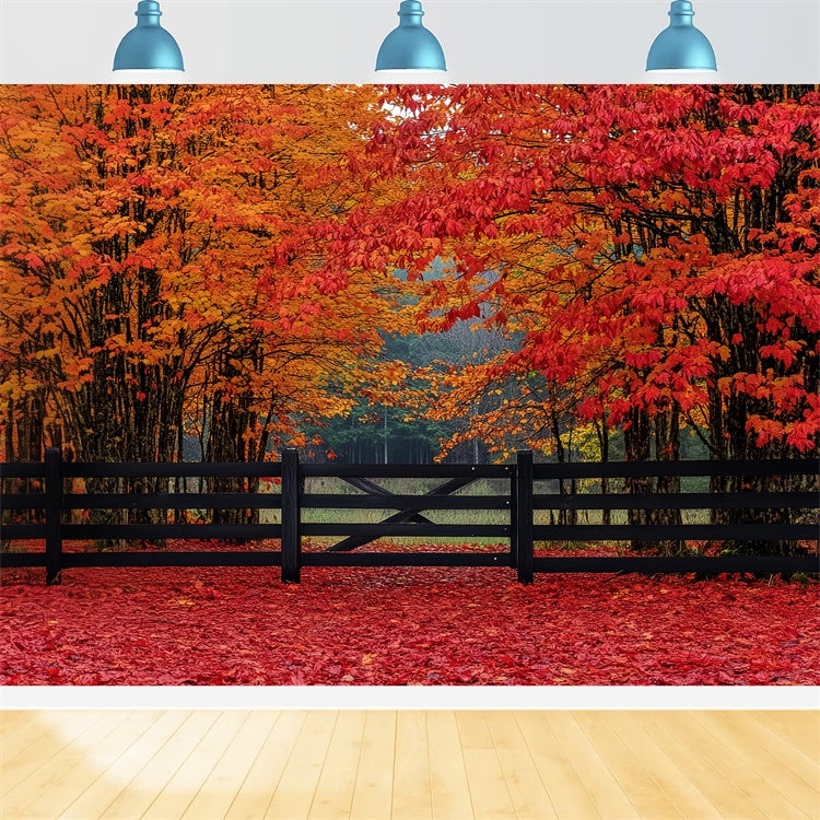 Herbst Wald Hintergrund Scharlachrot Wald Eintrag Hintergrund CSH6-220