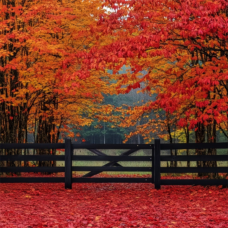 Herbst Wald Hintergrund Scharlachrot Wald Eintrag Hintergrund CSH6-220