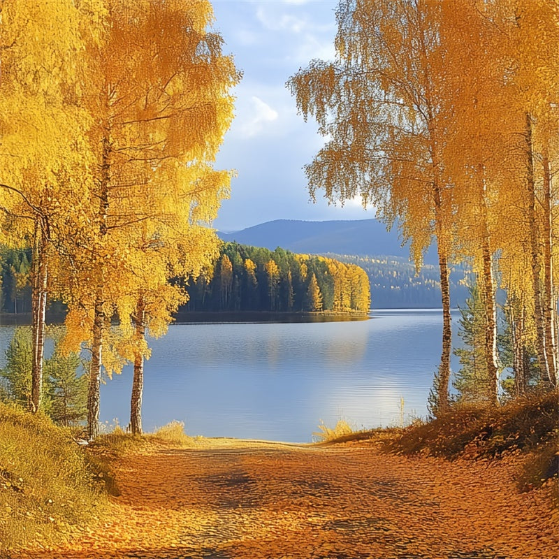 Wald-Hintergrundbilder Goldene Birke See Herbst-Fotohintergrundbilder CSH6-221