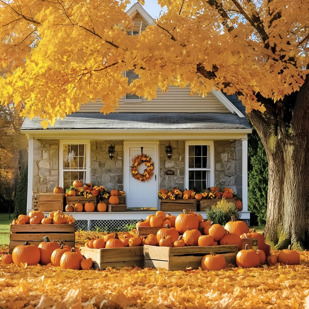 Herbst-Hintergrund für Bilder Golden Tree Cottage Backdrop CSH6-222
