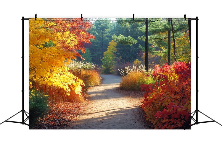 Wald Fotokulisse Golden Grove Trail Herbst Kulisse CSH6-226