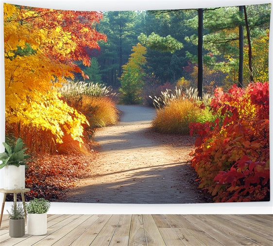 Wald Fotokulisse Golden Grove Trail Herbst Kulisse CSH6-226