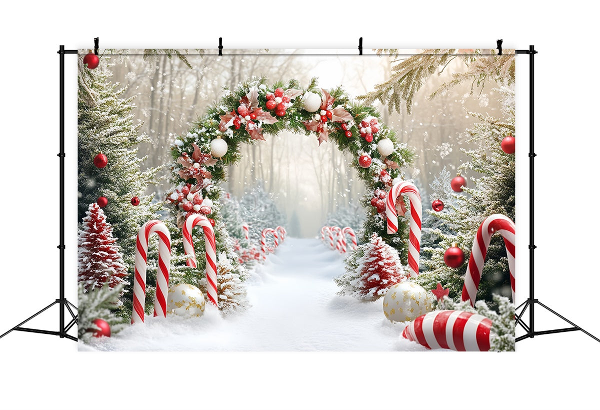 Weihnachts-Fotohintergrund Candy Wonderland Bogenhintergrund CSH6-242