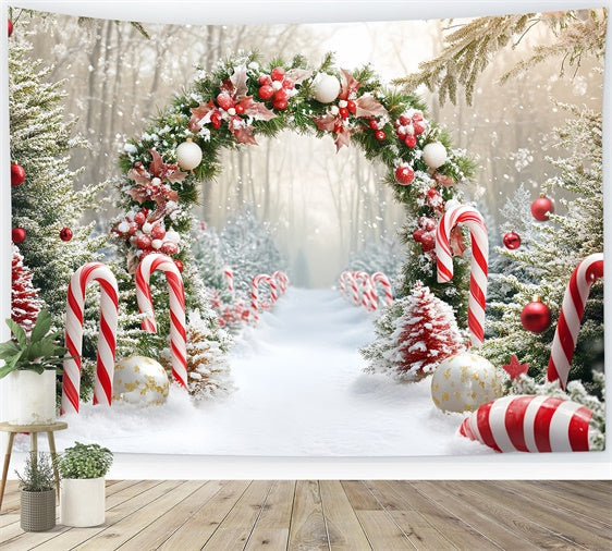 Weihnachts-Fotohintergrund Candy Wonderland Bogenhintergrund CSH6-242