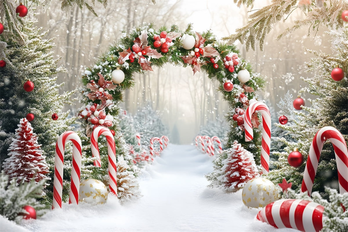 Weihnachts-Fotohintergrund Candy Wonderland Bogenhintergrund CSH6-242