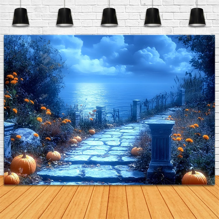 Halloween Fotokulissen Mondlicht Kürbis Pfad Hintergrund CSH6-86