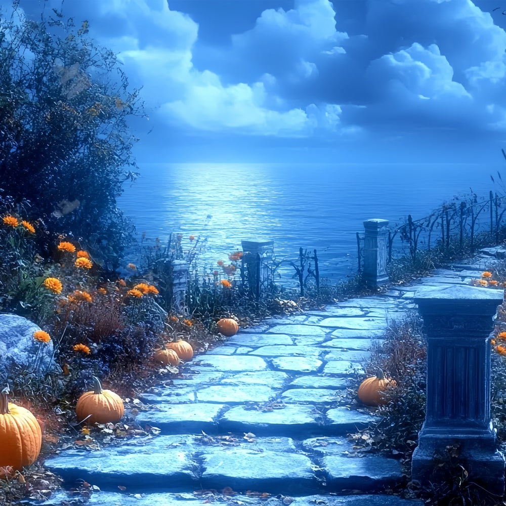 Halloween Fotokulissen Mondlicht Kürbis Pfad Hintergrund CSH6-86