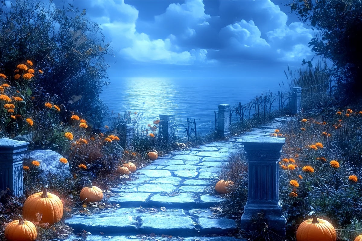 Halloween Fotokulissen Mondlicht Kürbis Pfad Hintergrund CSH6-86