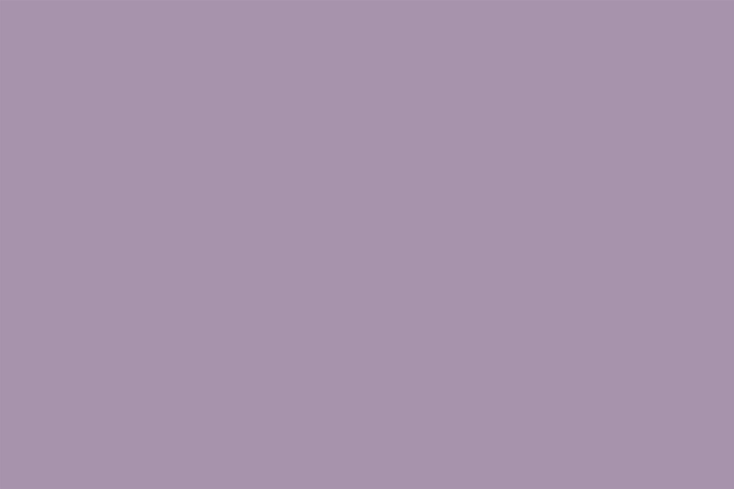 Lila Hintergrund Staubiges Mauve-Lila Ruhiges Finish Einfarbige Papierhintergründe CSH62-12