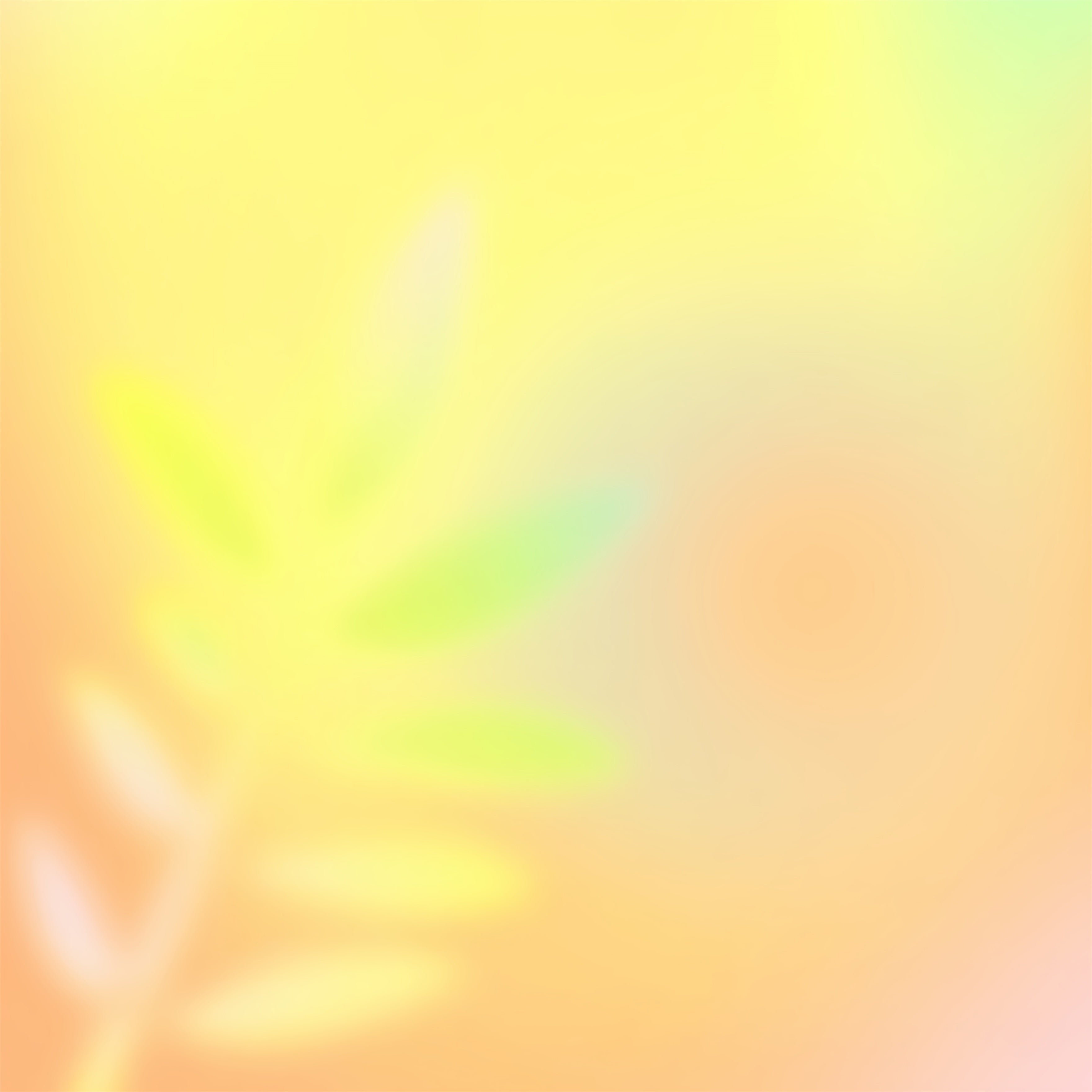 Hintergrund mit Farbverlauf für Fotos, Sonnenaufgang, Gelb, Grün, Rosa, Ideen für Porträtaufnahmen CSH62-46