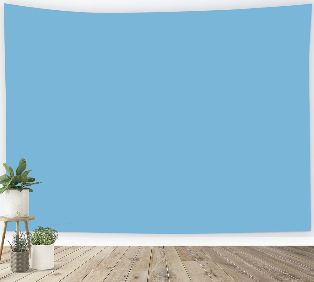 Blauer Hintergrund Frisches Himmelblau Reiner Farbton Einfarbige Fotohintergründe CSH62-9