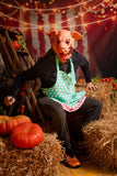 Halloween-Zirkus-roter Vorhang-Hintergrund für Fotografie D877