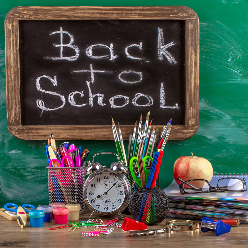 Back to School Kreidetafel Fotografie Hintergrund DBD7-15
