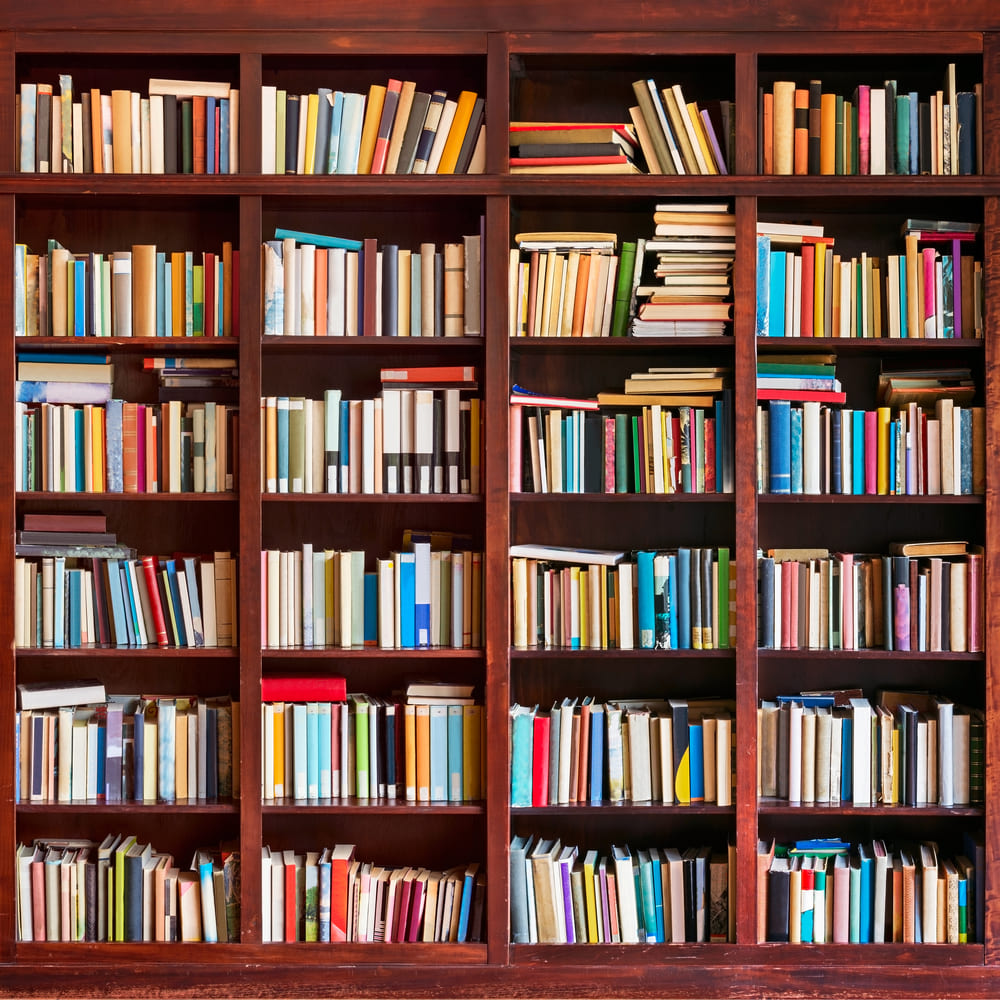 Back to School Altes hölzernes Bücherregal Hintergrund DBD7-42