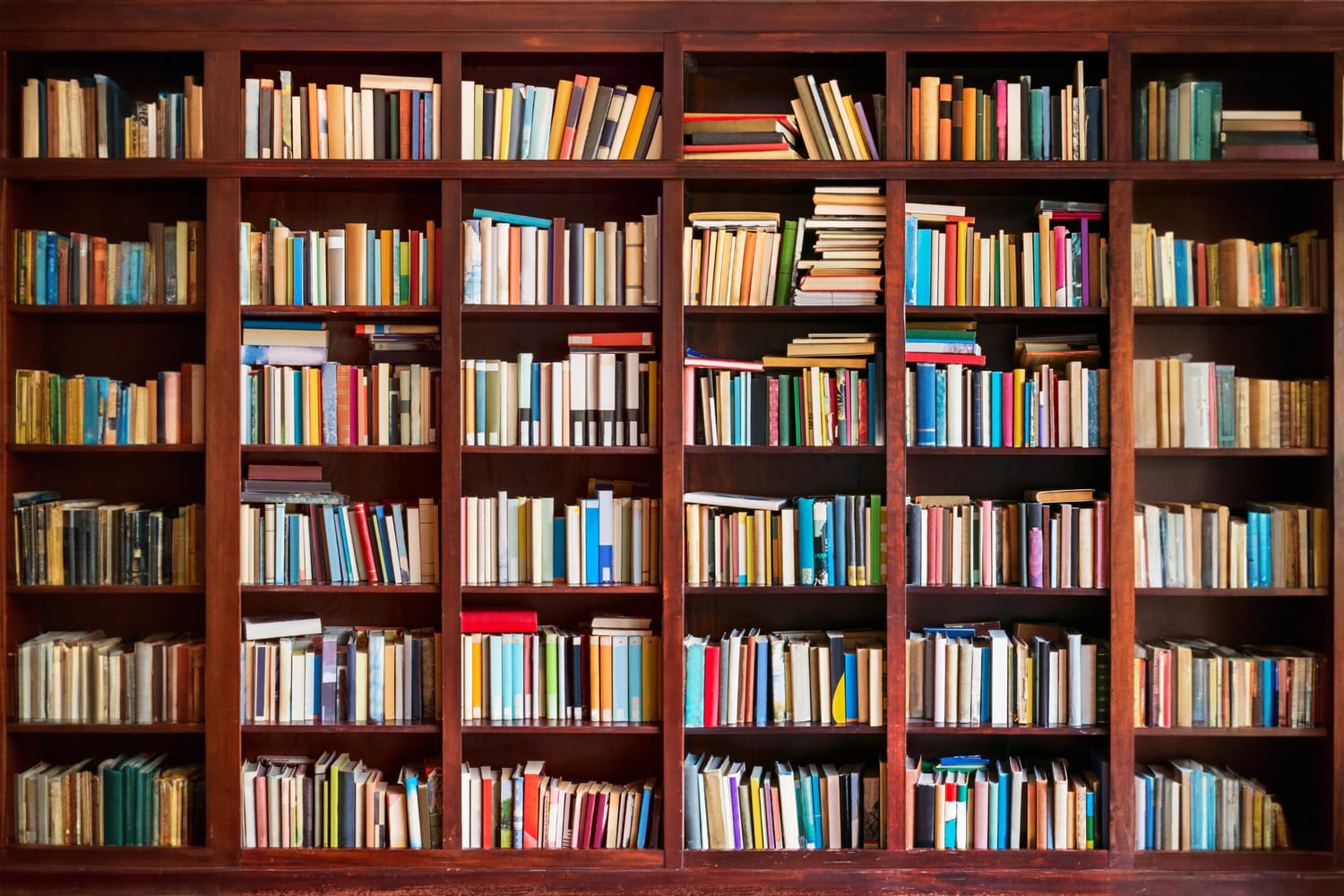 Back to School Altes hölzernes Bücherregal Hintergrund DBD7-42