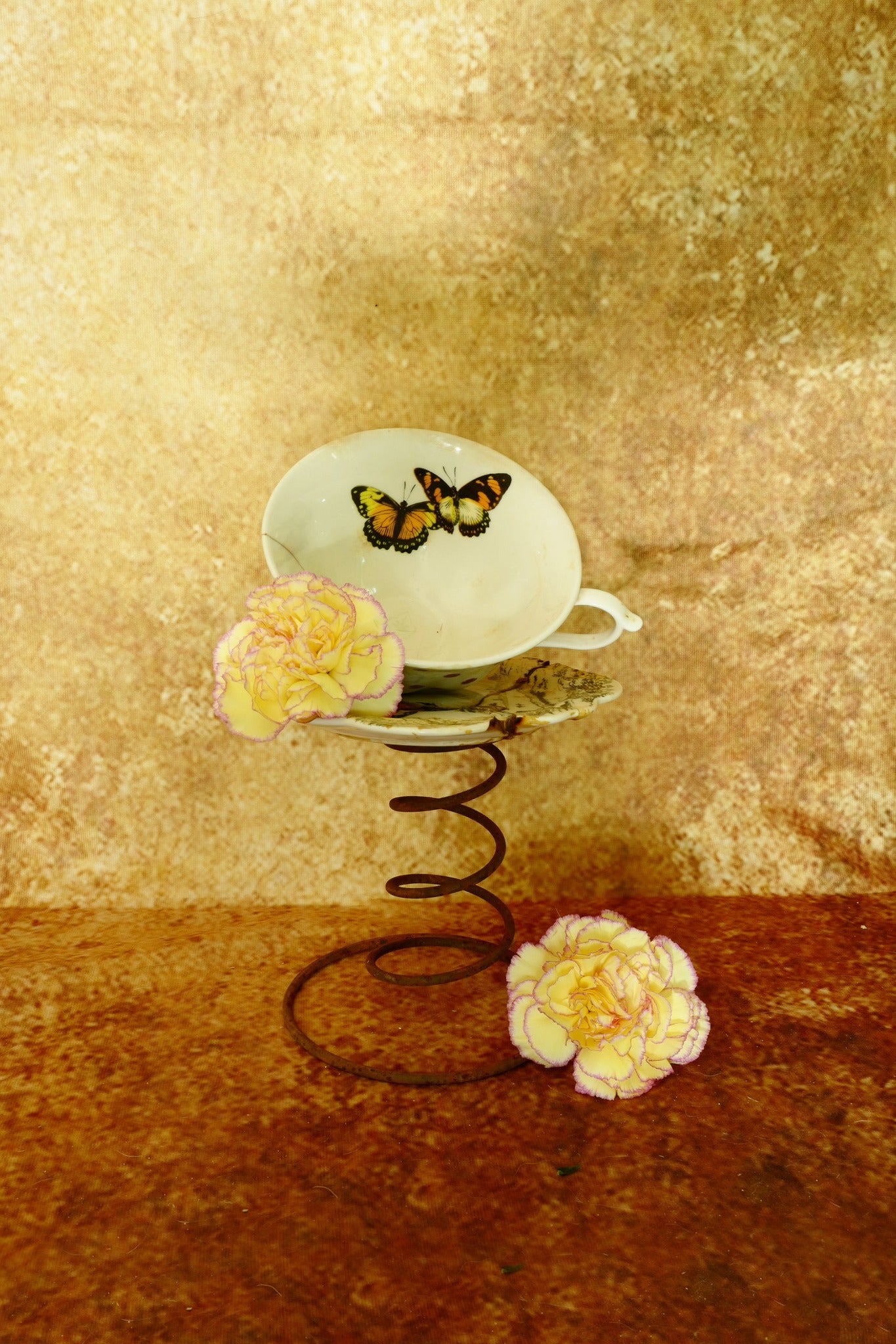 Abstrakte braune Textur-Wand-Hintergrund für Fotografie DHP-175