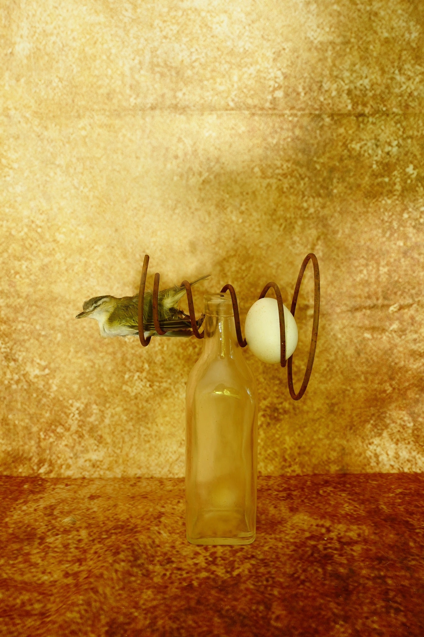 Abstrakte braune Textur-Wand-Hintergrund für Fotografie DHP-175