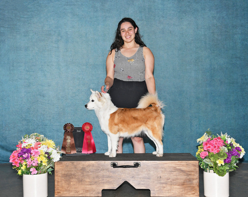 Abstrakte Textur Grün Vintage Portrait Kulisse für Fotografie DHP-502