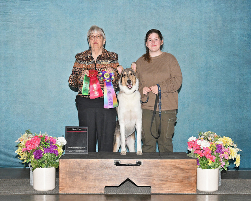 Abstrakte Textur Grün Vintage Portrait Kulisse für Fotografie DHP-502