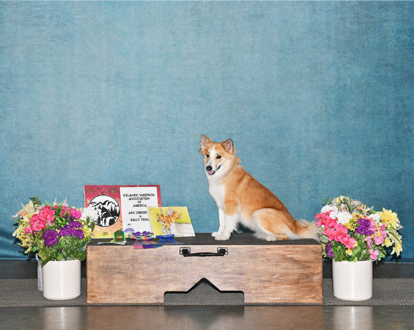 Abstrakte Textur Grün Vintage Portrait Kulisse für Fotografie DHP-502