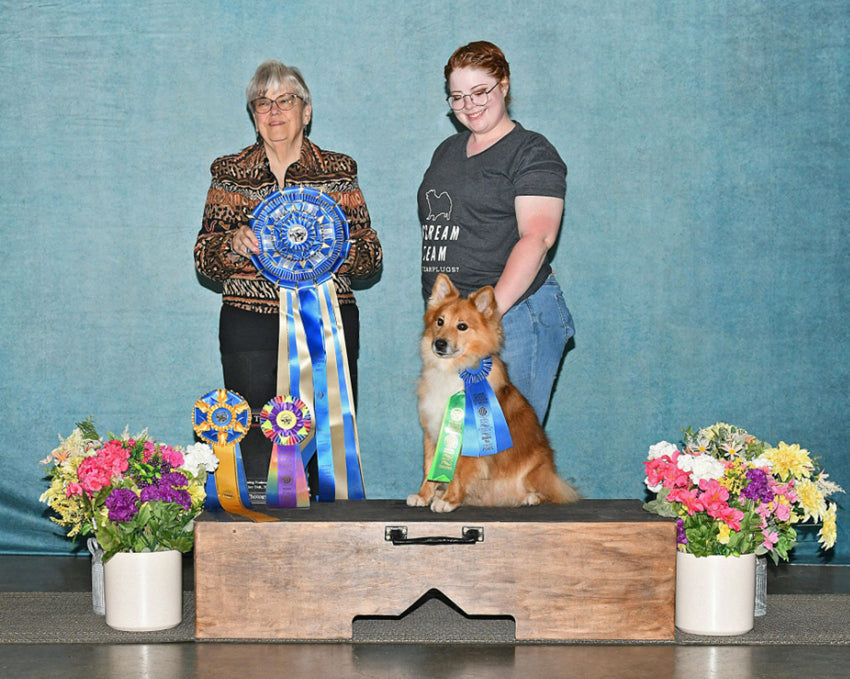 Abstrakte Textur Grün Vintage Portrait Kulisse für Fotografie DHP-502