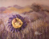 Fuzzy Stil Neugeborne Baby Fotografie Hintergrund  G-904（NUR 1）