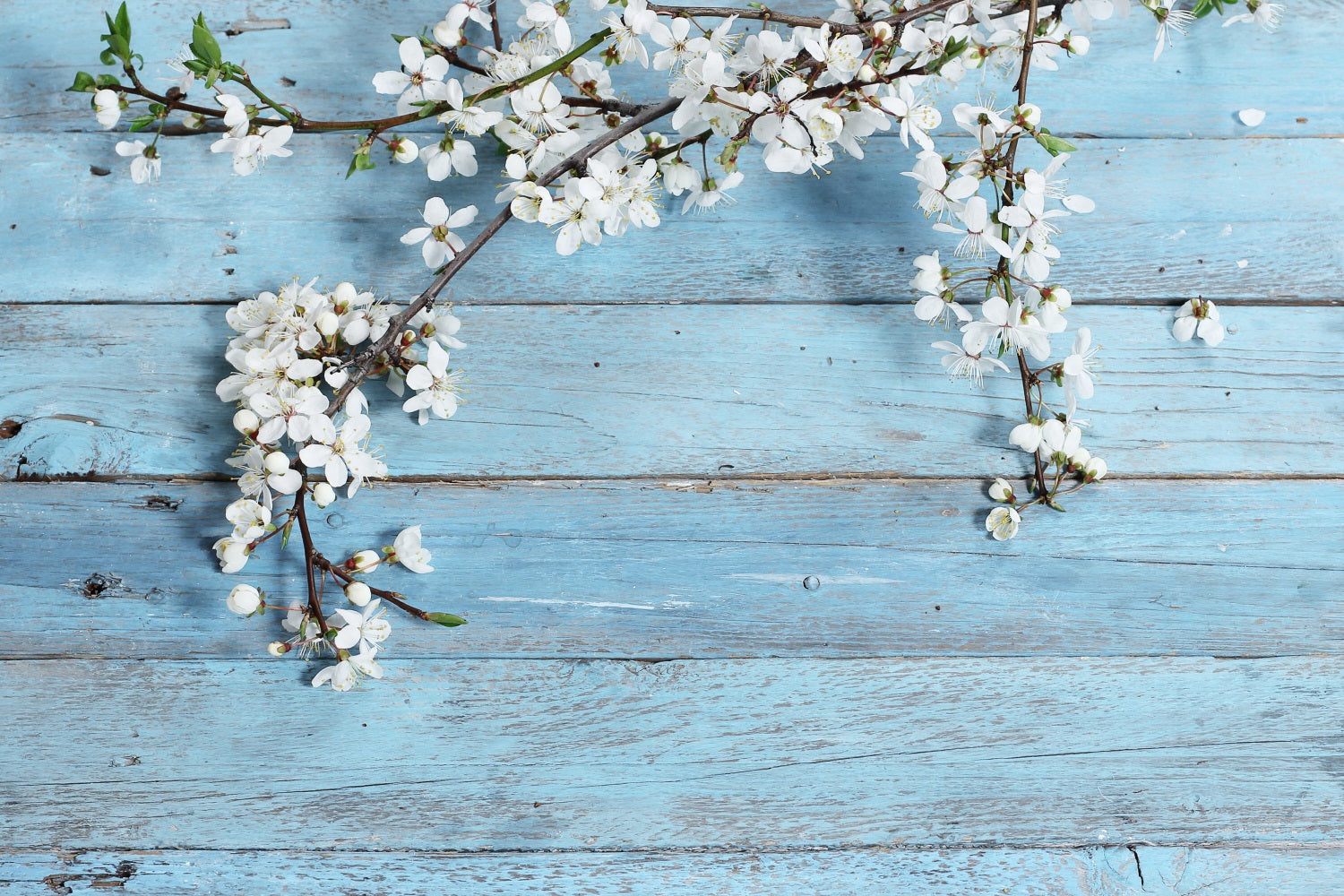 Rustikaler Holzhintergrund Floral Blue Backdrop GQ4-117