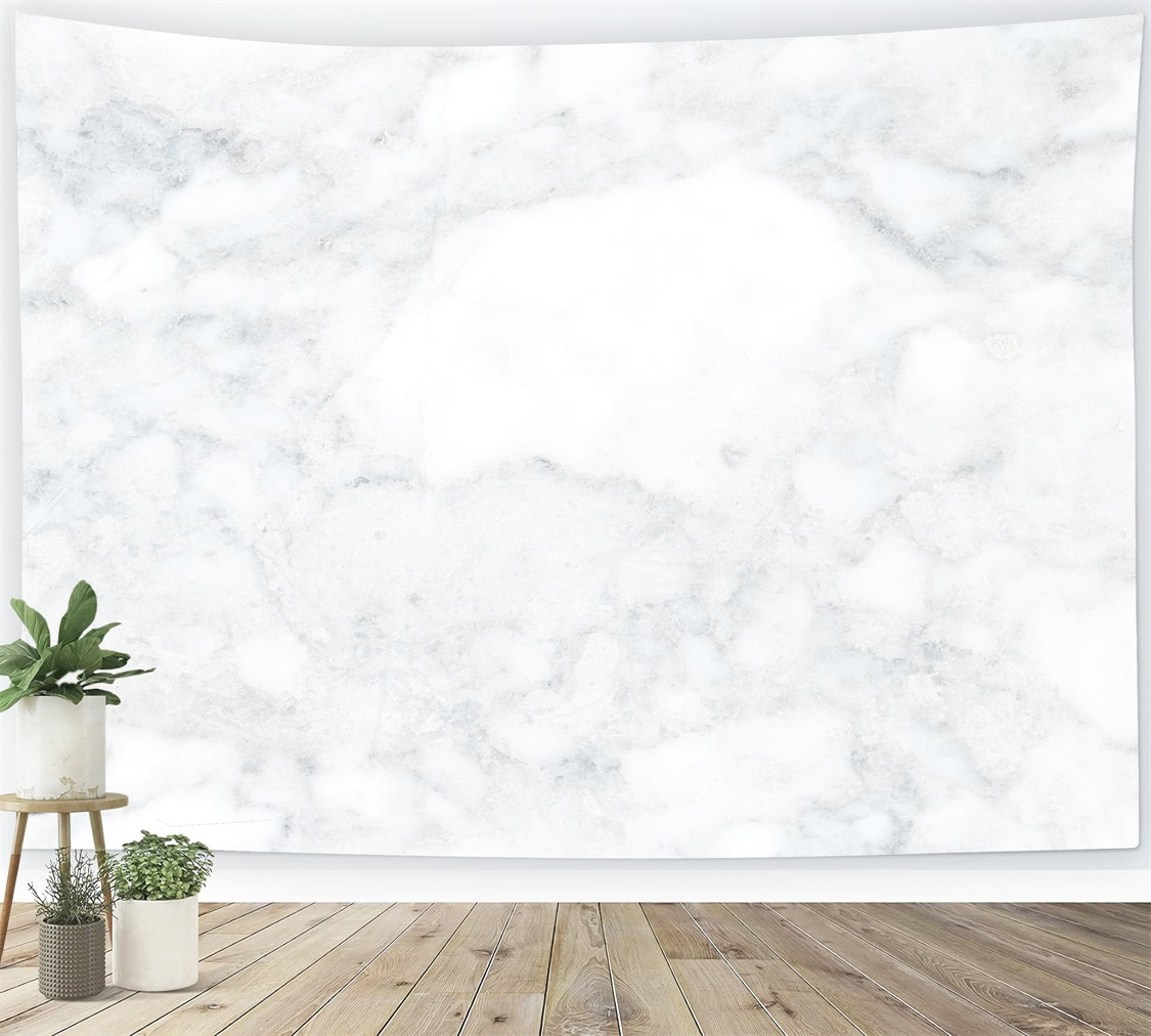 Weißer Marmor Hintergrund Delicate Cool Tone Studio Hintergrund GQ4-144